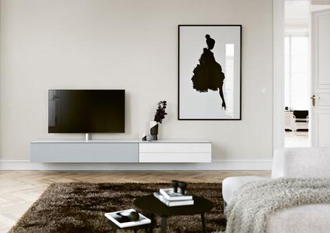 Modern living room designer furniture