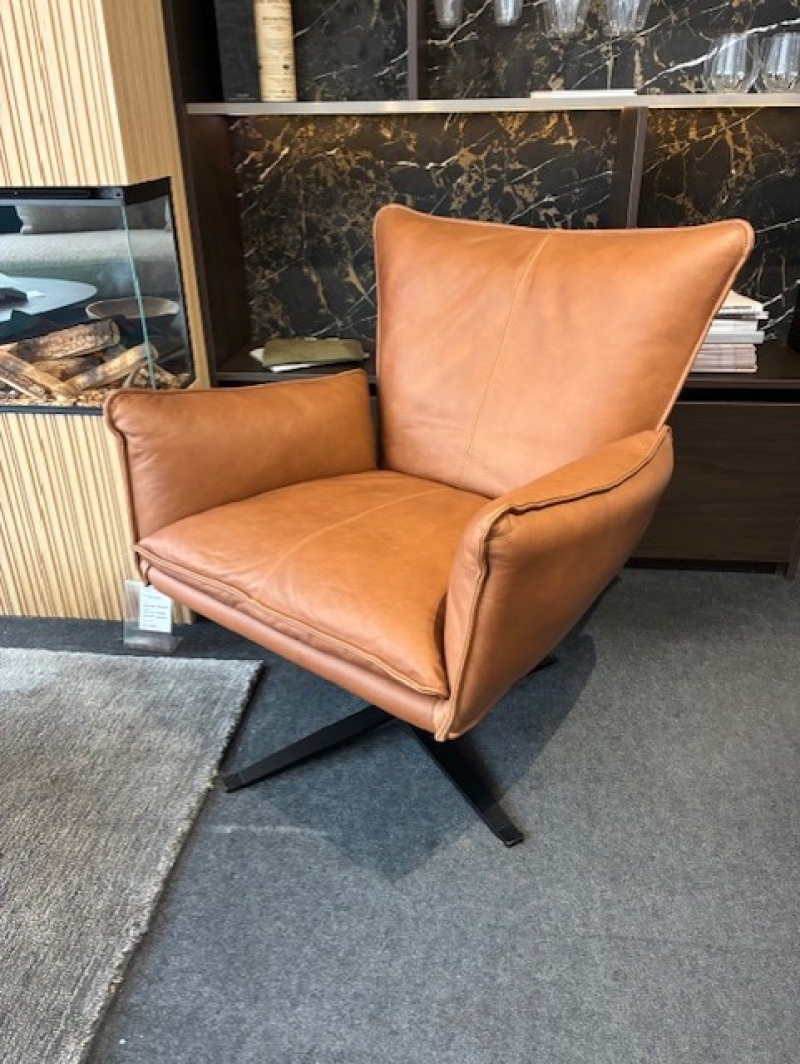 Bree's New World Gaucho 