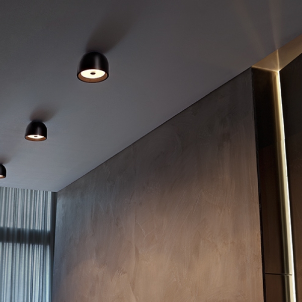 Flos Wan Wall/Ceiling Light